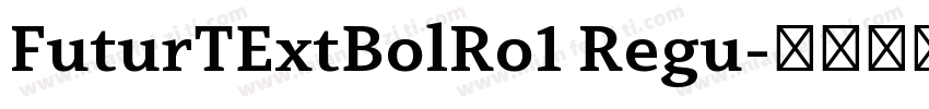 FuturTExtBolRo1 Regu字体转换